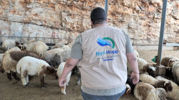 distribution-qurbani-to-needy