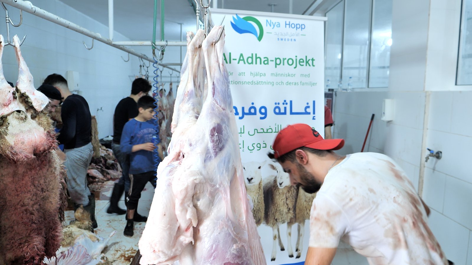 distribution-qurbani-to-needy